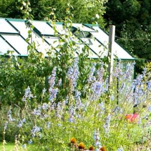 How to Choose the Right Greenhouse